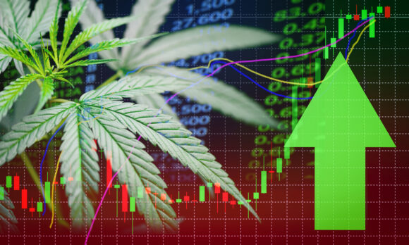 Medical Cannabis